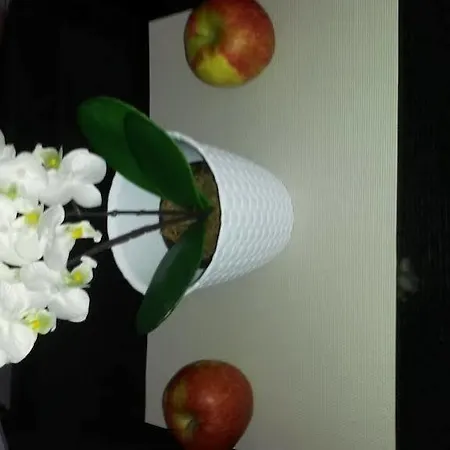 Apartman Near The Center Split